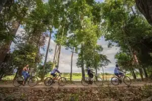 Activities-tours-and-people-14-scaled-2_1_