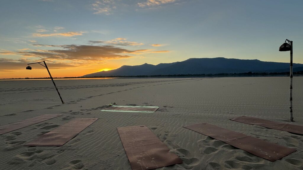 A Few Things We Forgot to Tell You About Don Daeng