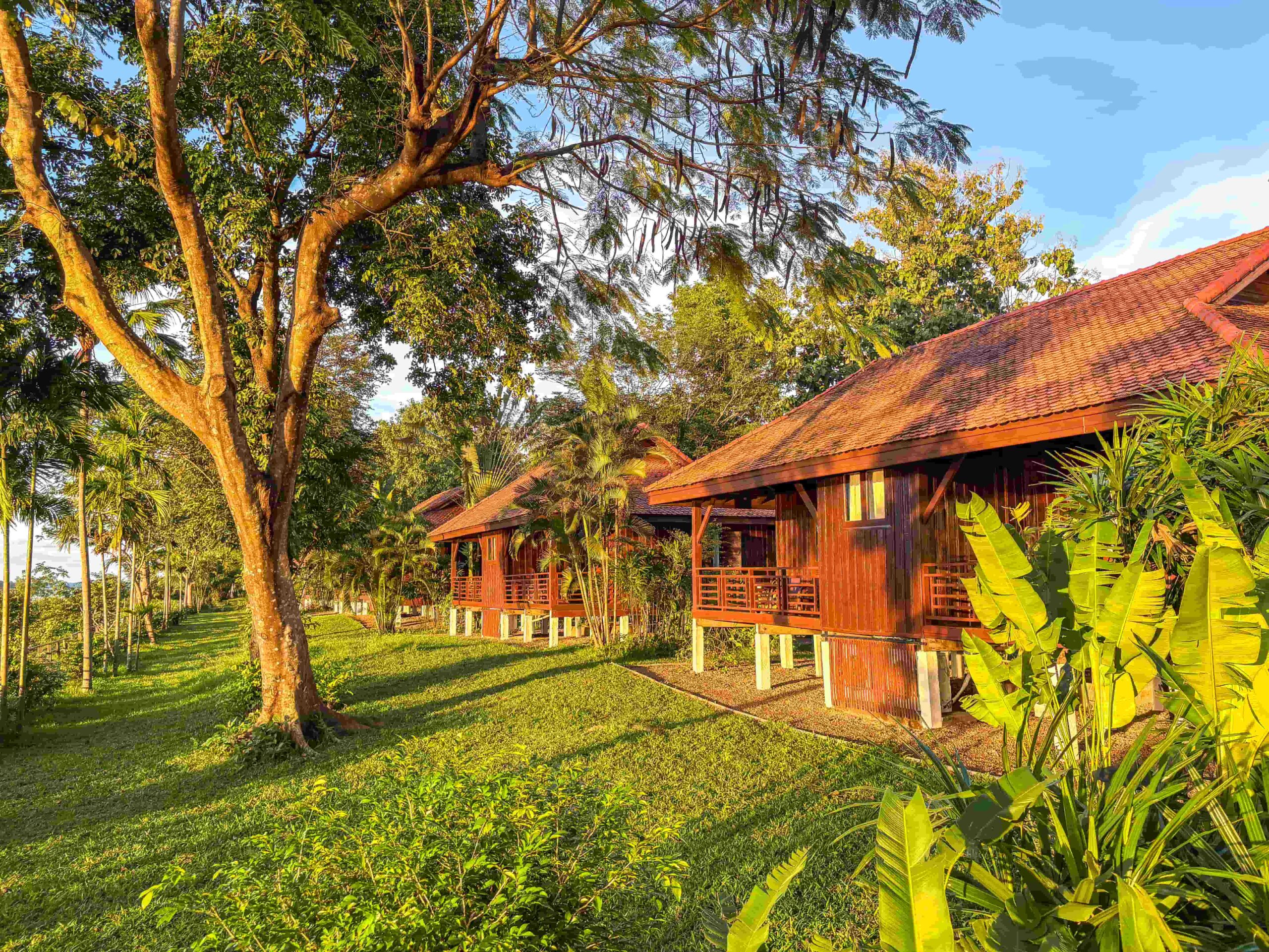 Timber bungalows with tiled roofs and raised terraces among the trees and tropical gardens beside the Mekong